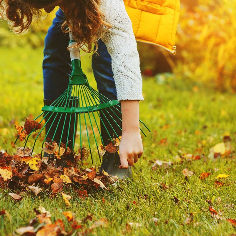 Les secrets d'un entretien de jardin réussi tout au long des saisons